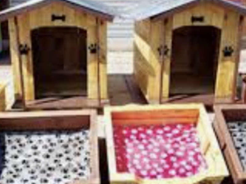 Casa con Diseño Personalizado Bolivia