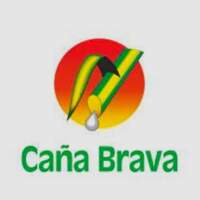 Muebles De Mimbre Y Fierro Caña Brava