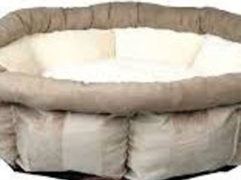 Cama Leona Crema Bolivia