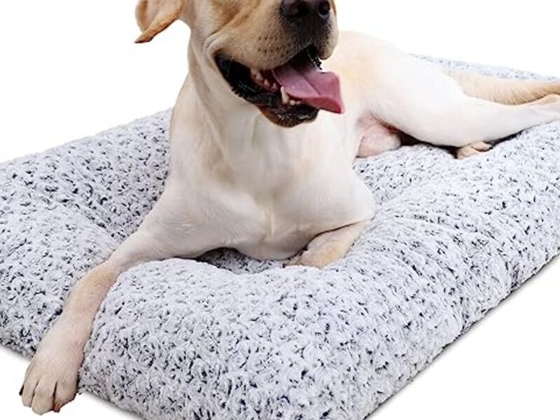 Cama lavable Estampada Bolivia