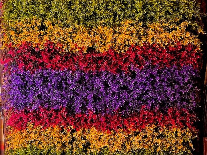 Cuadro Flores Sinteticas Bolivia