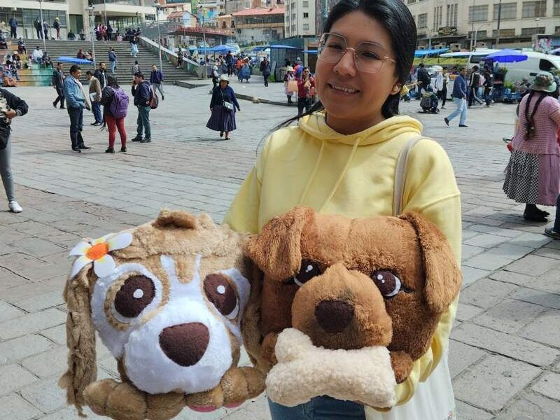 Cojin perrito 3 Bolivia 