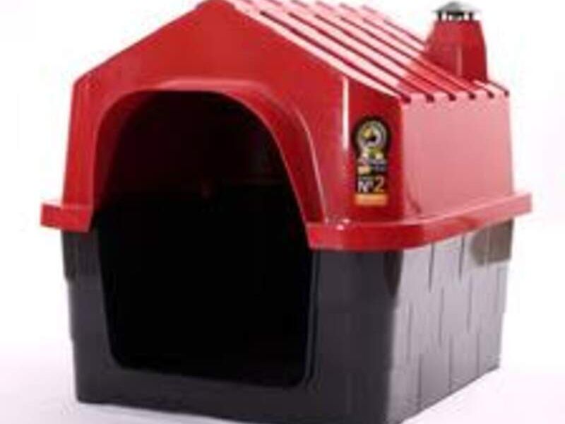 Casita perro roja Bolivia 