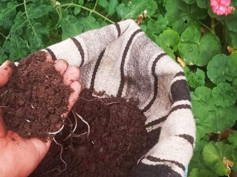 Tierra negra Bolivia 
