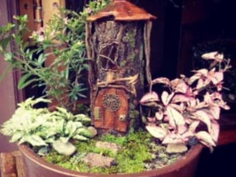 Jardín miniatura casita Bolivia 