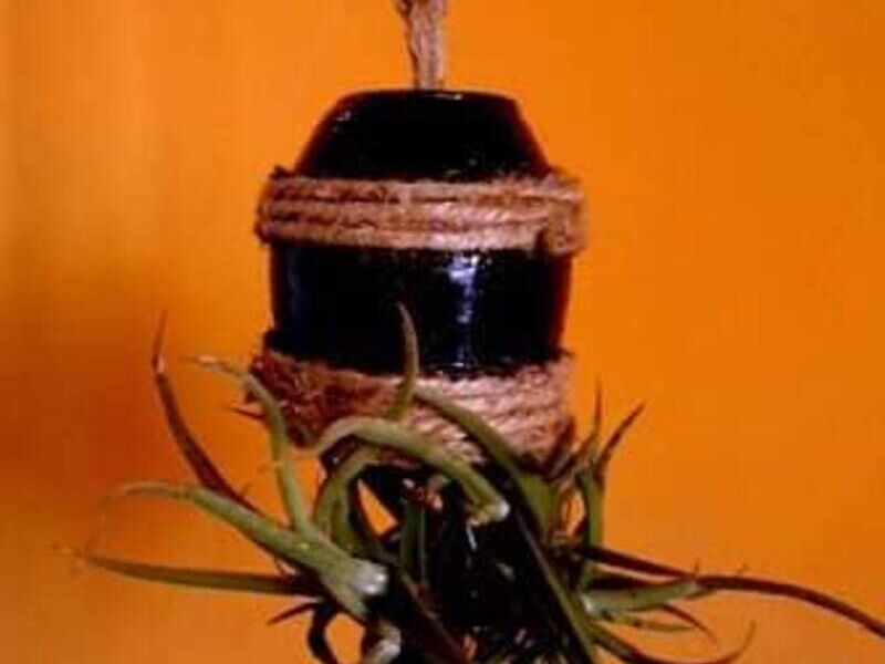 Jardín miniatura invertido  Bolivia 