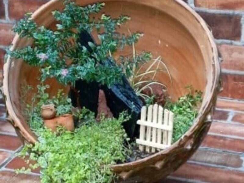 Jardín miniatura vaquita Bolivia 
