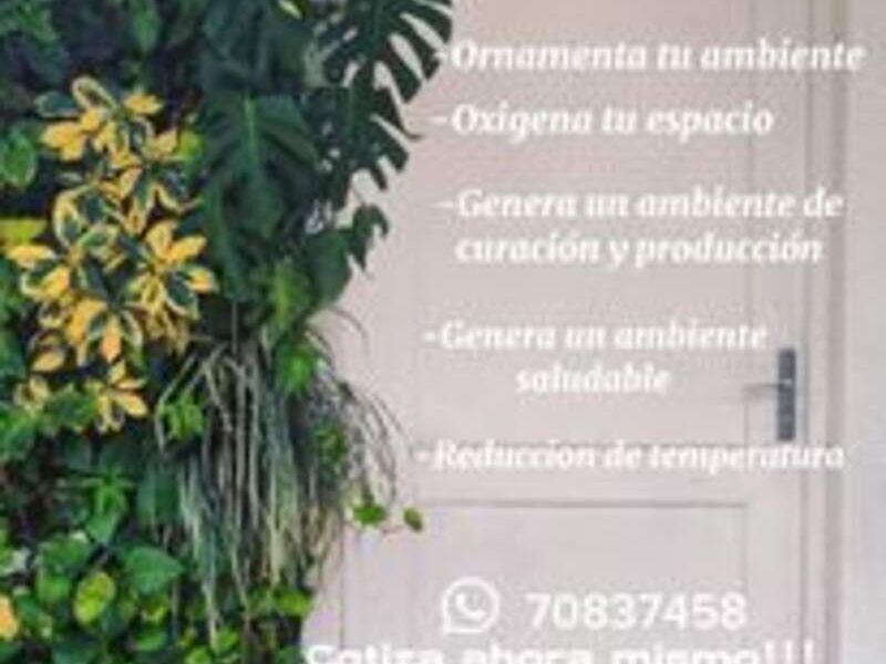 Jardines Verticales 1 Bolivia