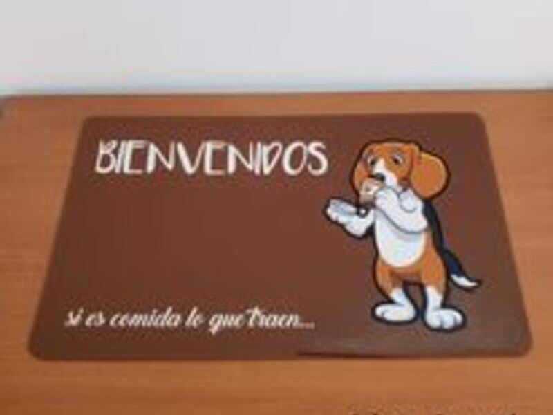 Alfombra perrito bienvenidos Bolivia