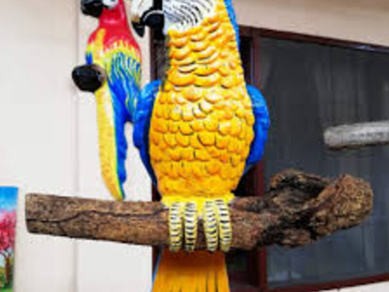 Papagayo Bolivia 