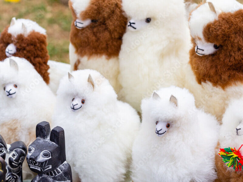 Llamitas Bolivia