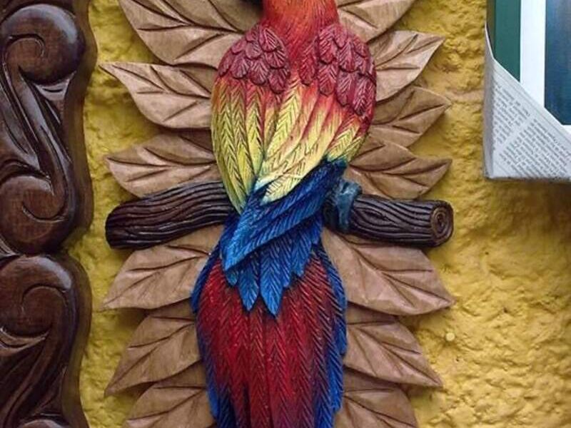 Papagayo madera  Bolivia 