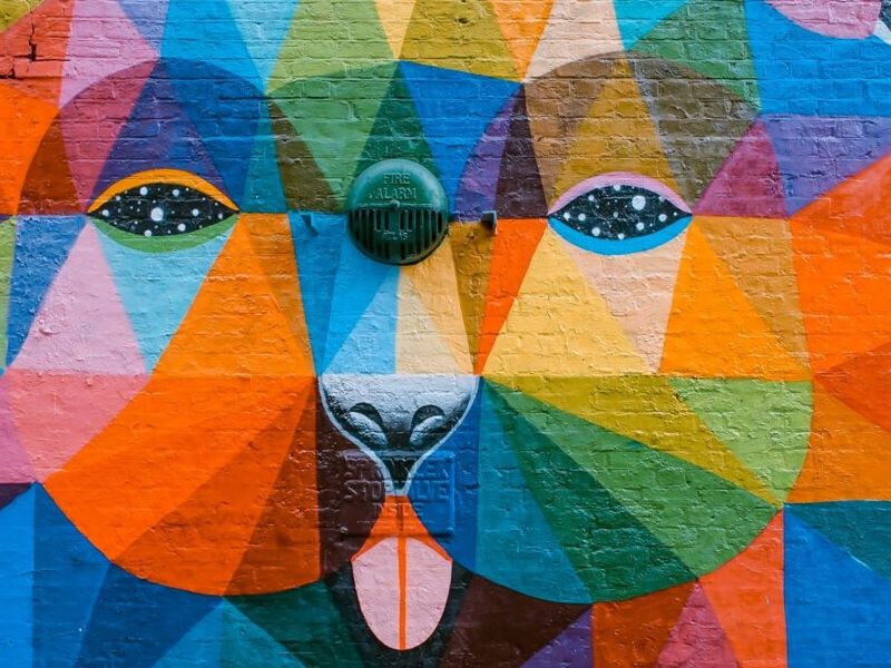 Pintura panda multicolor Bolivia 