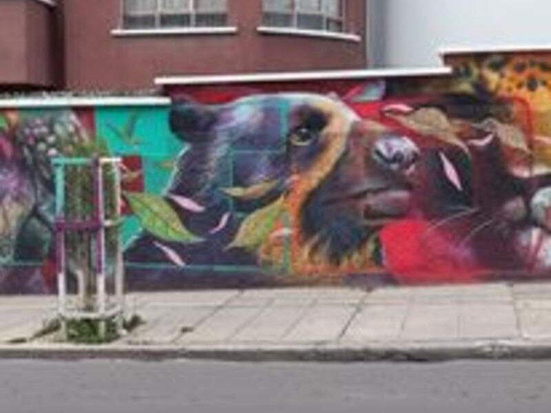 Mural oso Bolivia