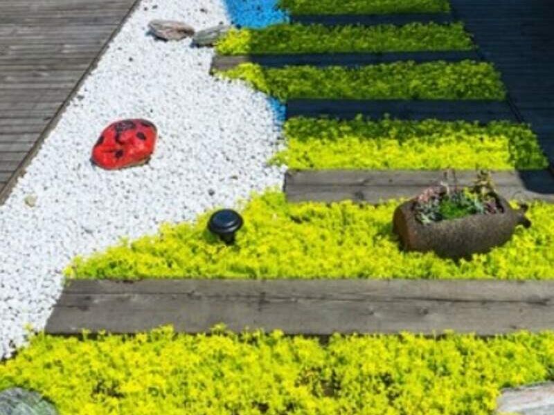 Diseño Paisajismo La Paz