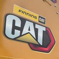 Finning Cat