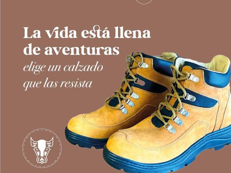 Botin seguridad 6 Bolivia