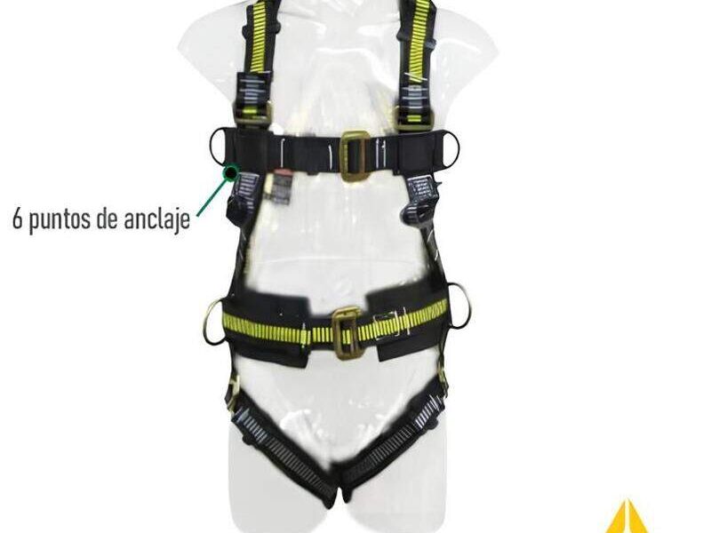 ARNES FULL BODY 6  Bolivia