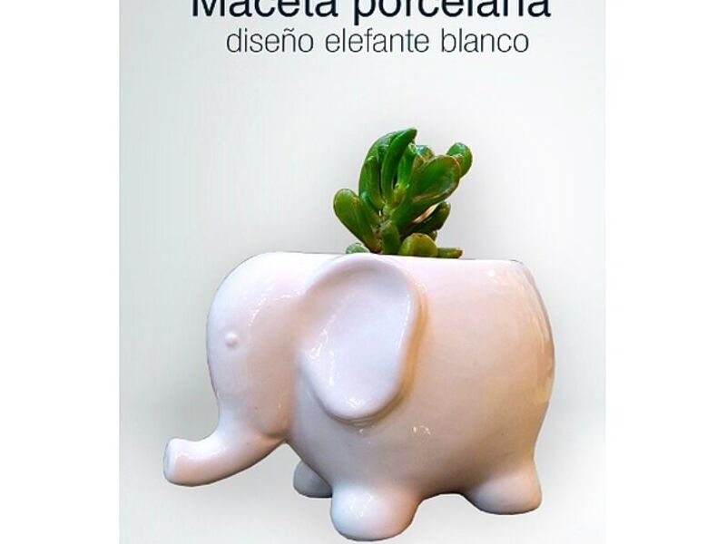 Maceta Diseño Elefante Bolivia
