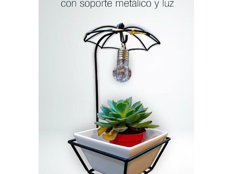 Maceta con Luz Bolivia