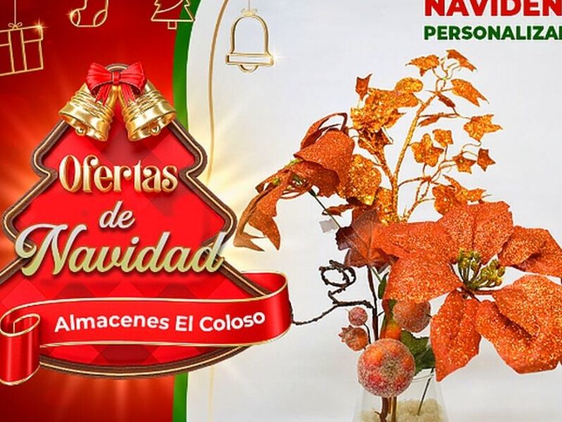 Florero Navideño Bolivia