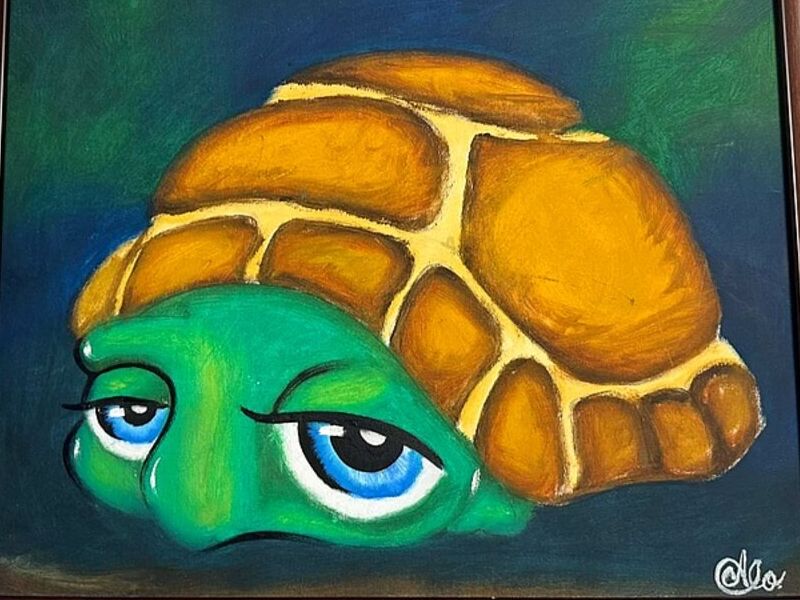 Cuadro Decorativo Tortuga Bolivia