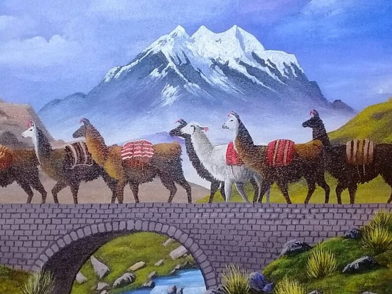 Cuadro Decorativo Llano Bolivia