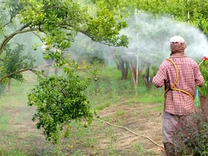 Fumigación de Alacranes Bolivia