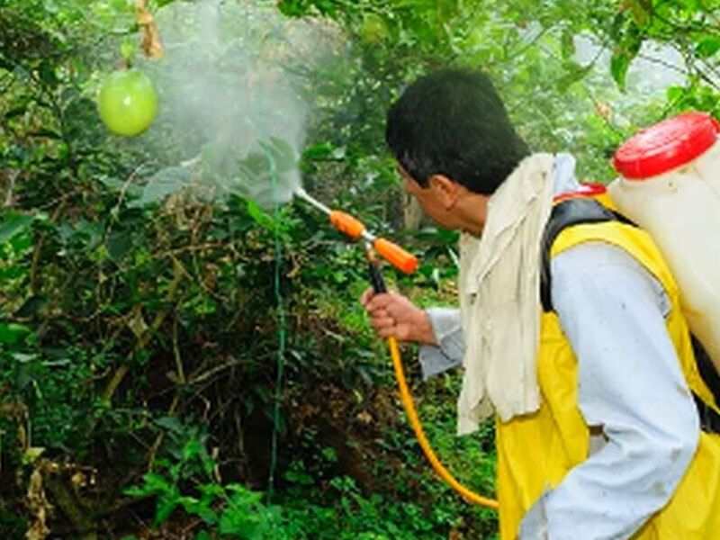 Fumigación de Pulgas Bolivia
