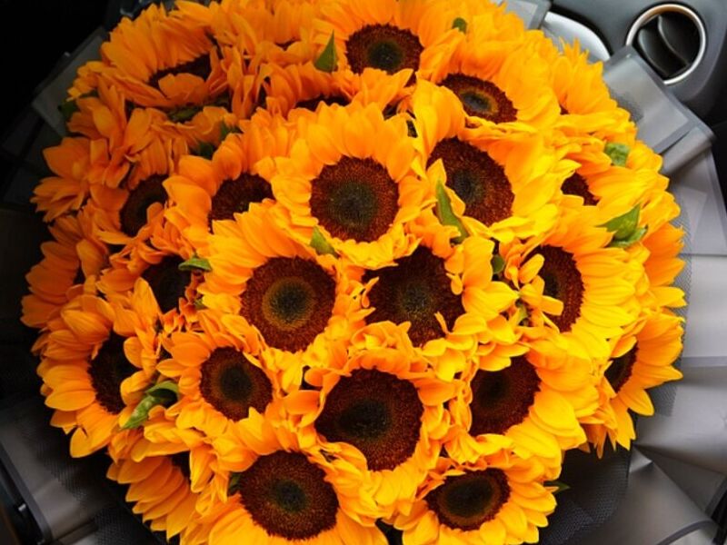 Florero Girasoles Bolivia