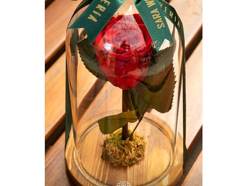 Florero Rosa Bolivia