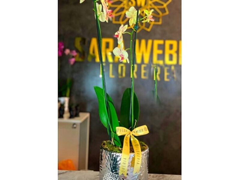 Florero Crsital Bolivia