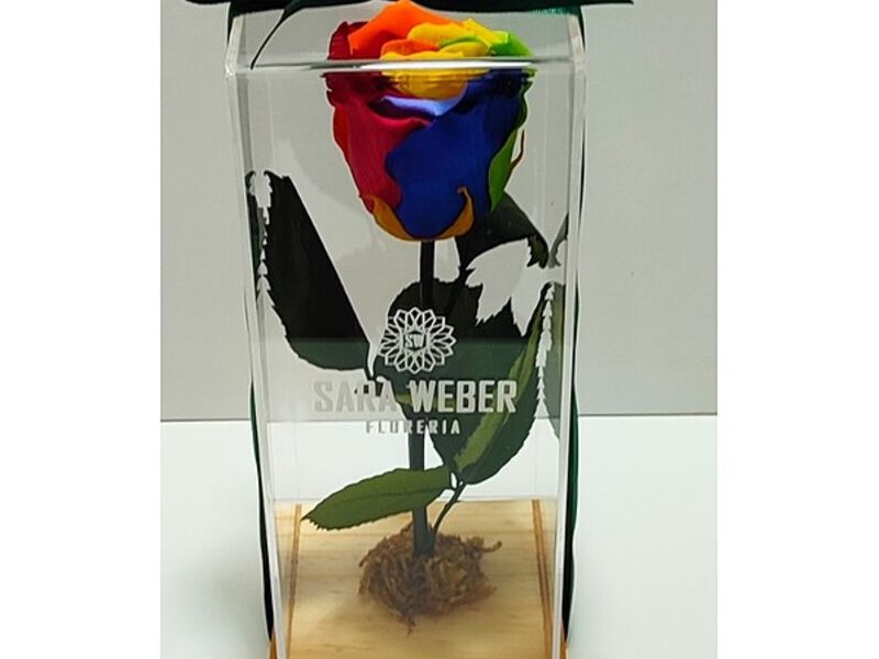 Florero Arcoiris Bolivia