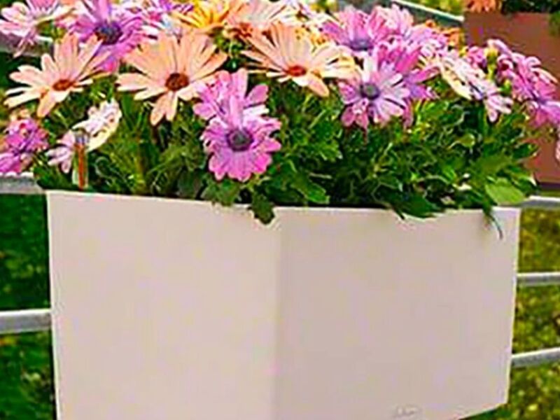 Maceta rectangular blanca Bolivia