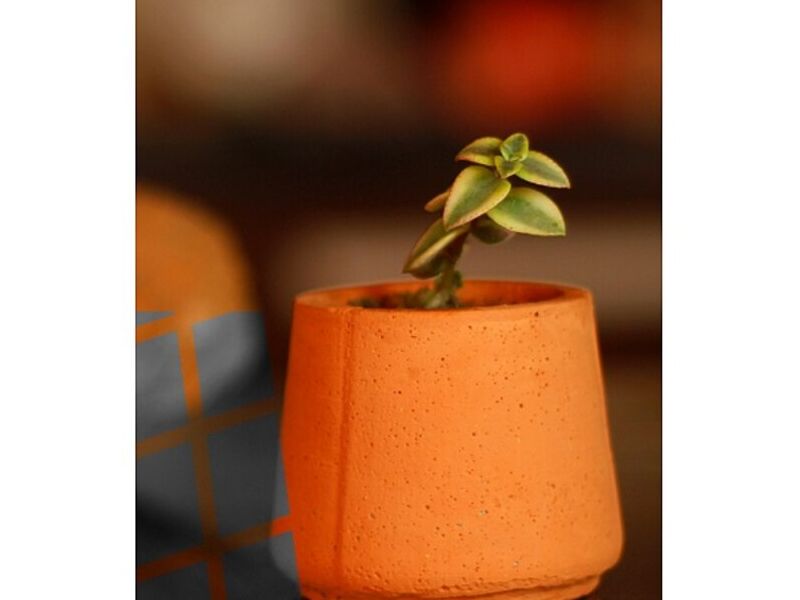 Maceta pequeña cemento naranja Bolivia