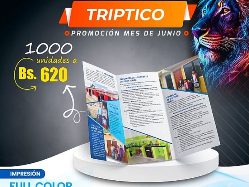 Trípticos Bolivia 