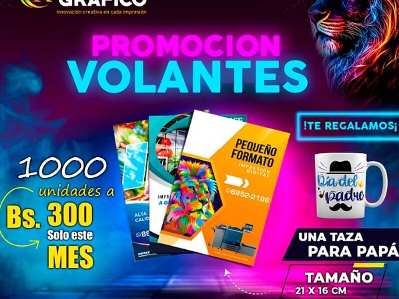 Volantes 21x16 Bolivia 