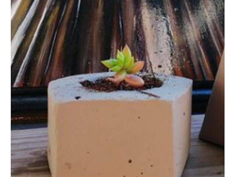 Maceta cemento pentagono Bolivia