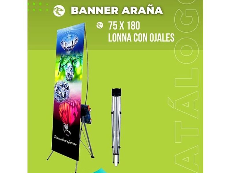 Banner araña Bolivia 