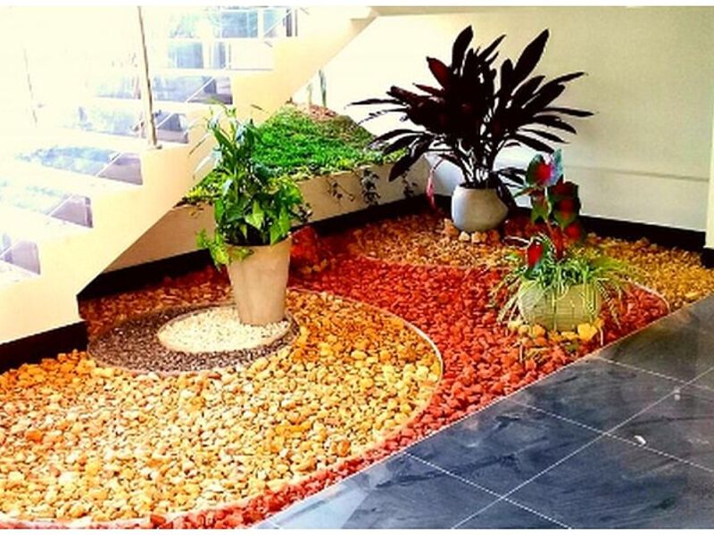 Jardín interior  Bolivia 