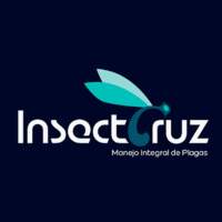 InsectCruz