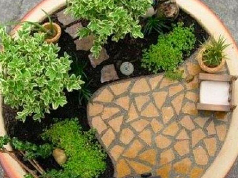 Jardin miniatura Redondo Bolivia