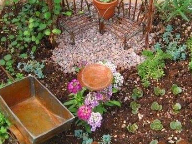 Jardin Miniatura Cuadrado Bolivia