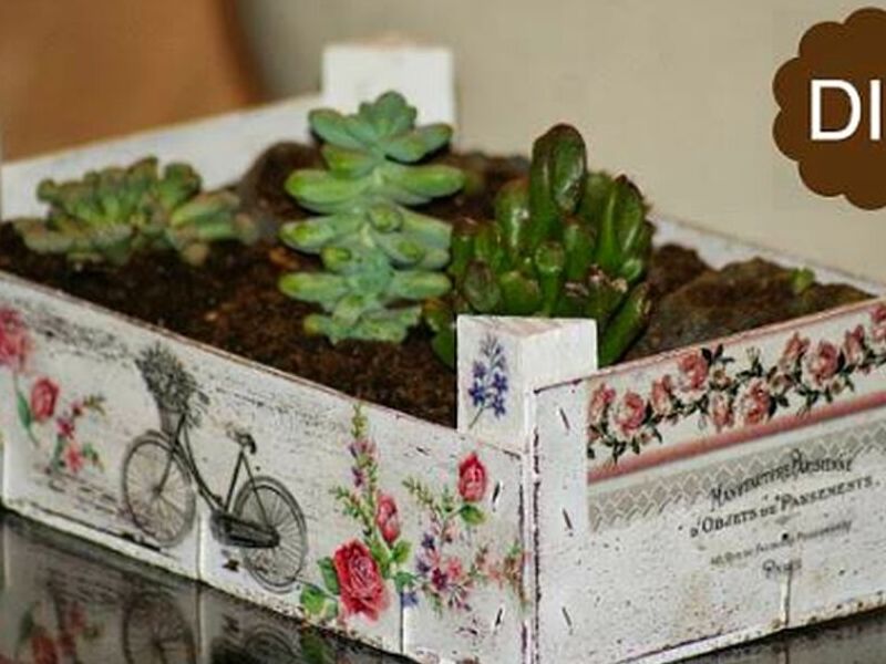Jardín Miniatura Rectangular Bolivia