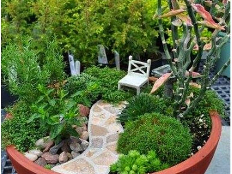 Jardin Miniatura Circular Bolivia