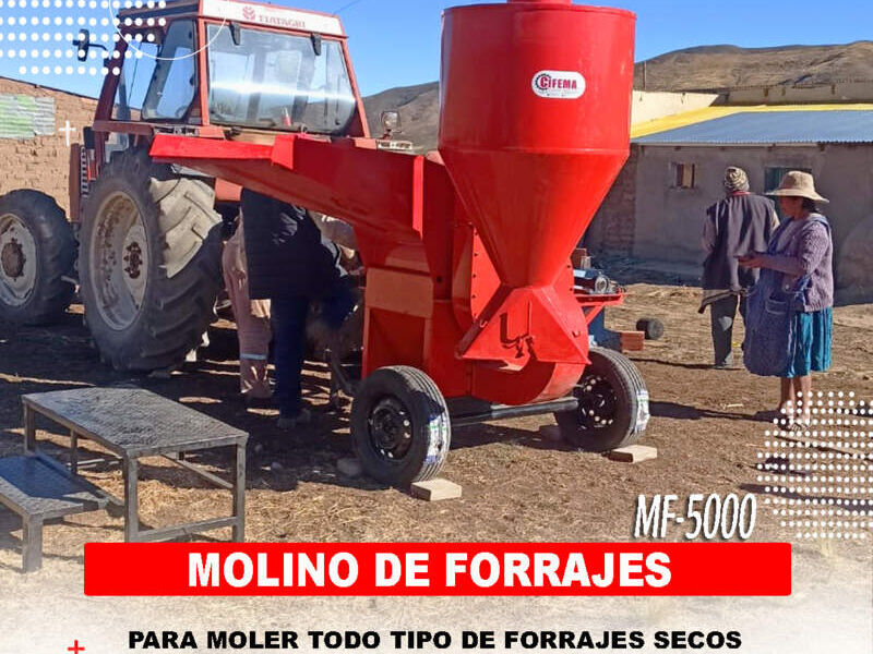 MOLINO Bolivia