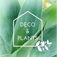 Deco And Plants