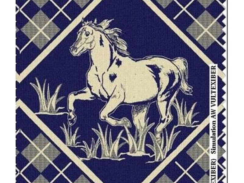 Alfombra Caballo Bolivia