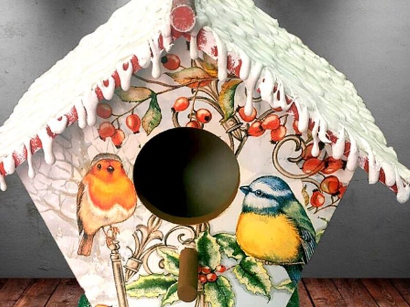 Casita Pájaro Bolivia