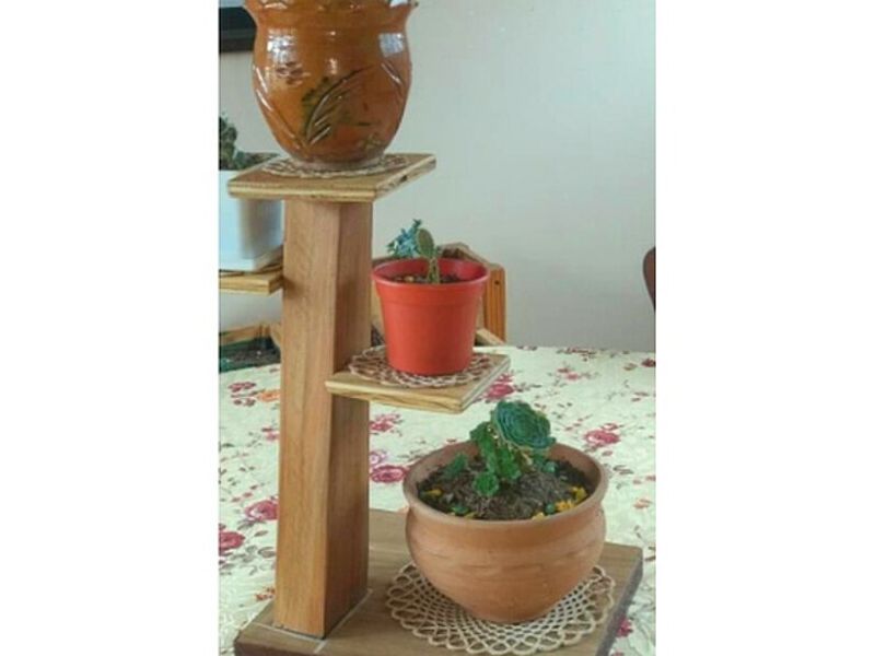 Estantería Plantas Bolivia